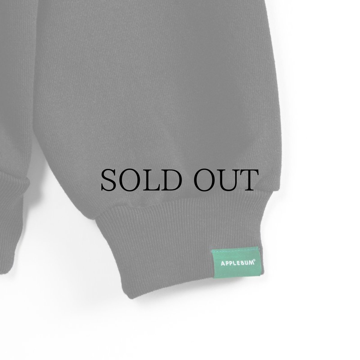 画像7: APPLEBUM(アップルバム) / "THE SOARING MONARCH" HEAVY SWEAT PARKA (7)