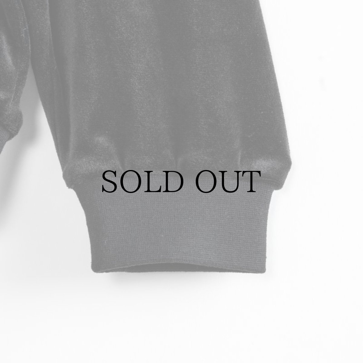 画像9: APPLEBUM(アップルバム) / VELOUR HALF ZIP (9)