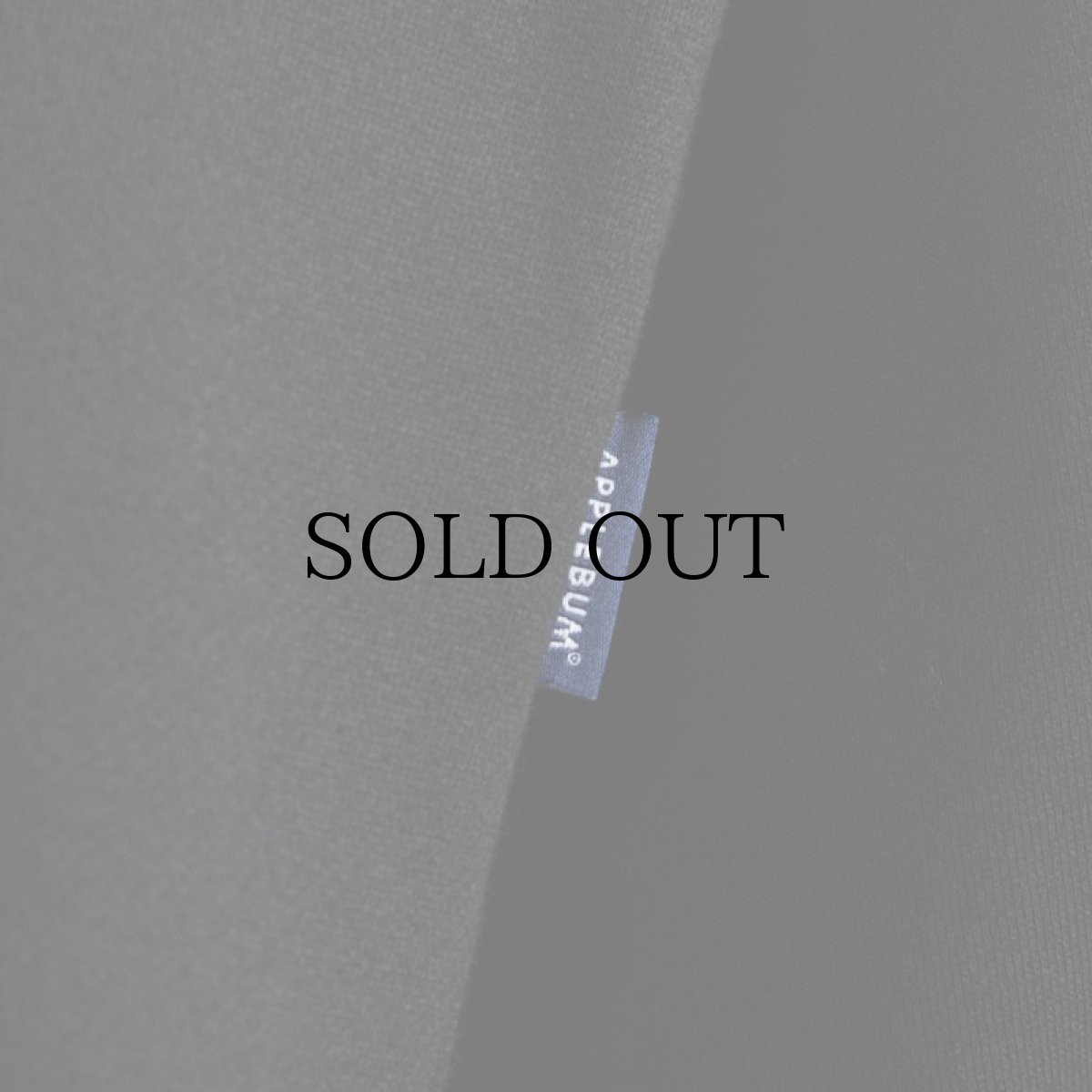 画像11: APPLEBUM(アップルバム) / RIB LINE CREW SWEAT (11)