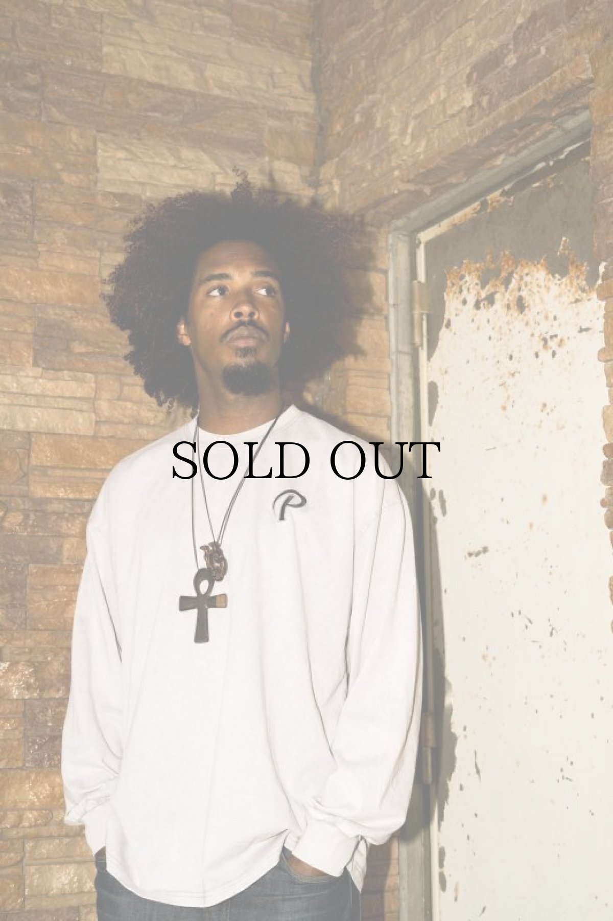 画像13: PWNED(パウンド) / ORIGINAL WASH HEAVY L/S TEE (13)