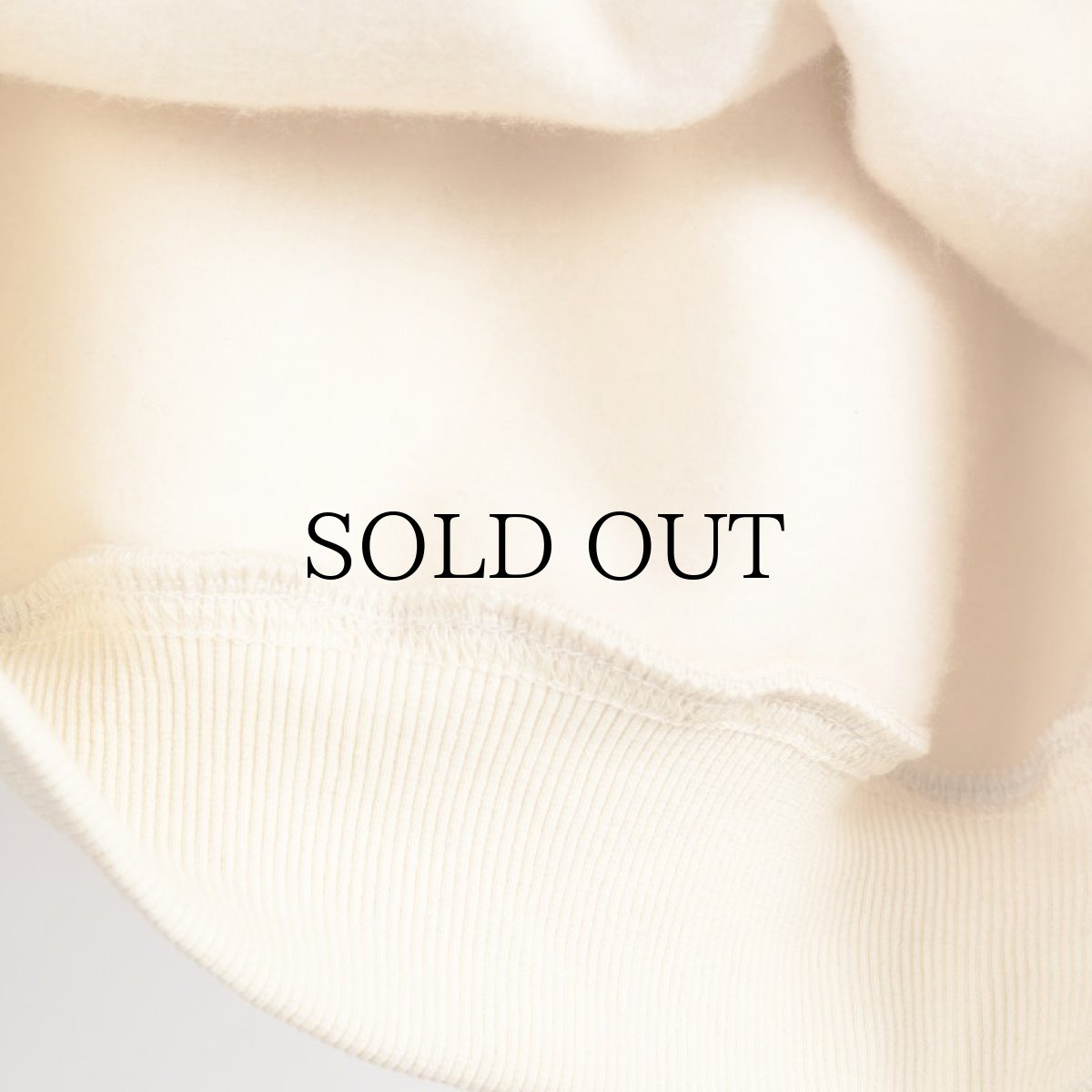 画像14: APPLEBUM(アップルバム) / RIB LINE CREW SWEAT (14)