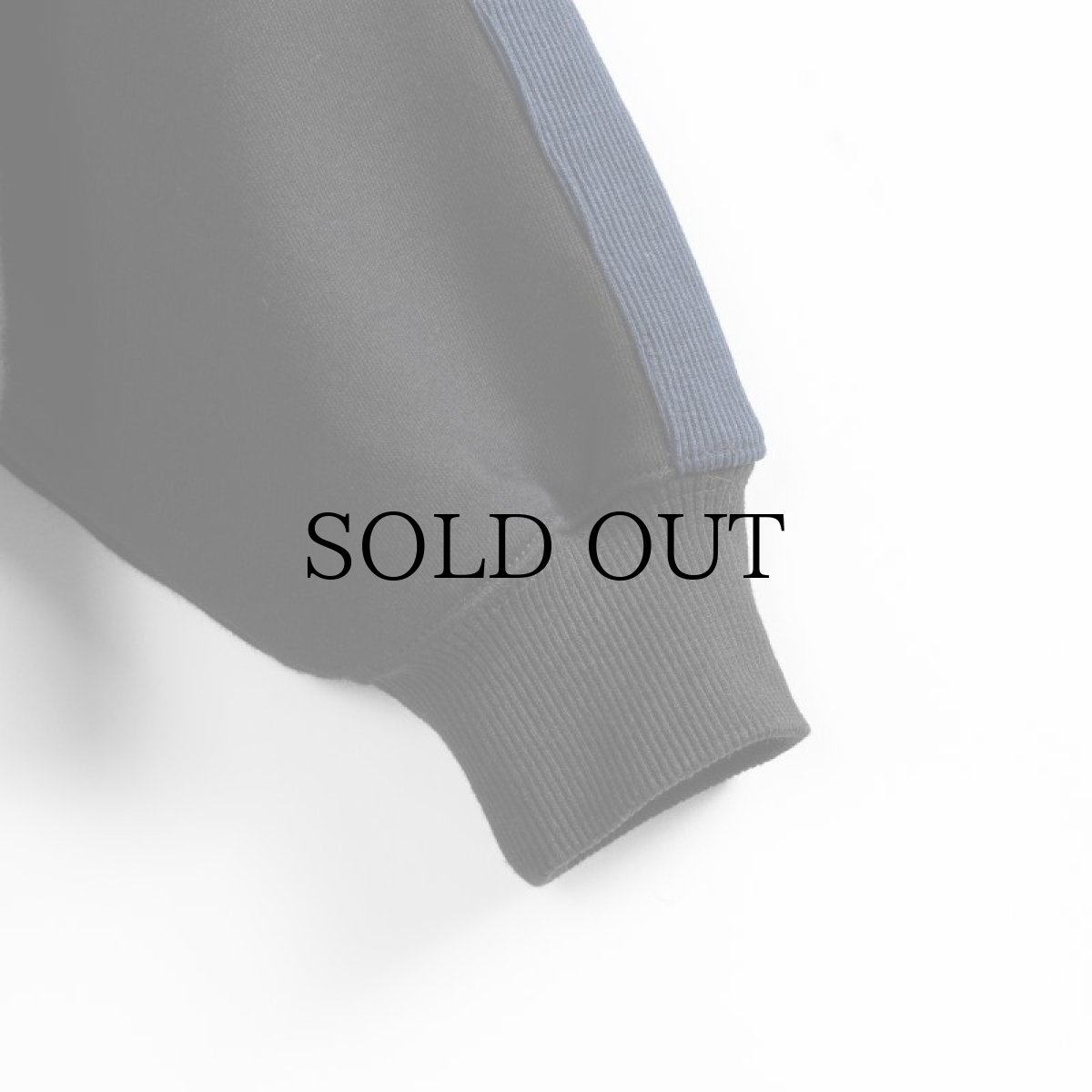 画像9: APPLEBUM(アップルバム) / RIB LINE CREW SWEAT (9)