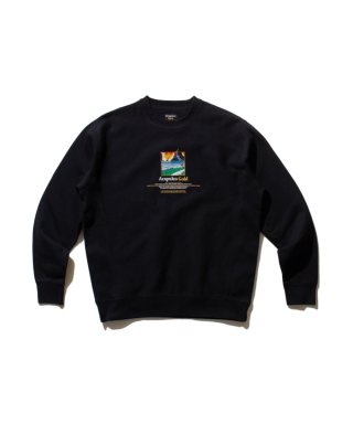 ACAPUlCO GOLD(アカプルコゴールド) スウェット GIGOLO CREW