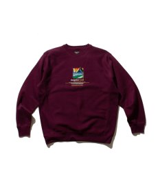 画像4: ACAPULCO GOLD / SLOW DOWN CREW SWEATSHIRT (4)