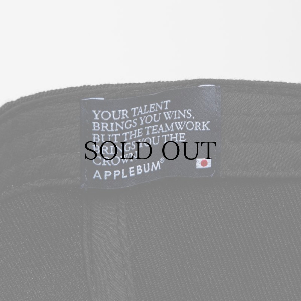 画像8: APPLEBUM(アップルバム) / LOW CROWN BB CAP (8)