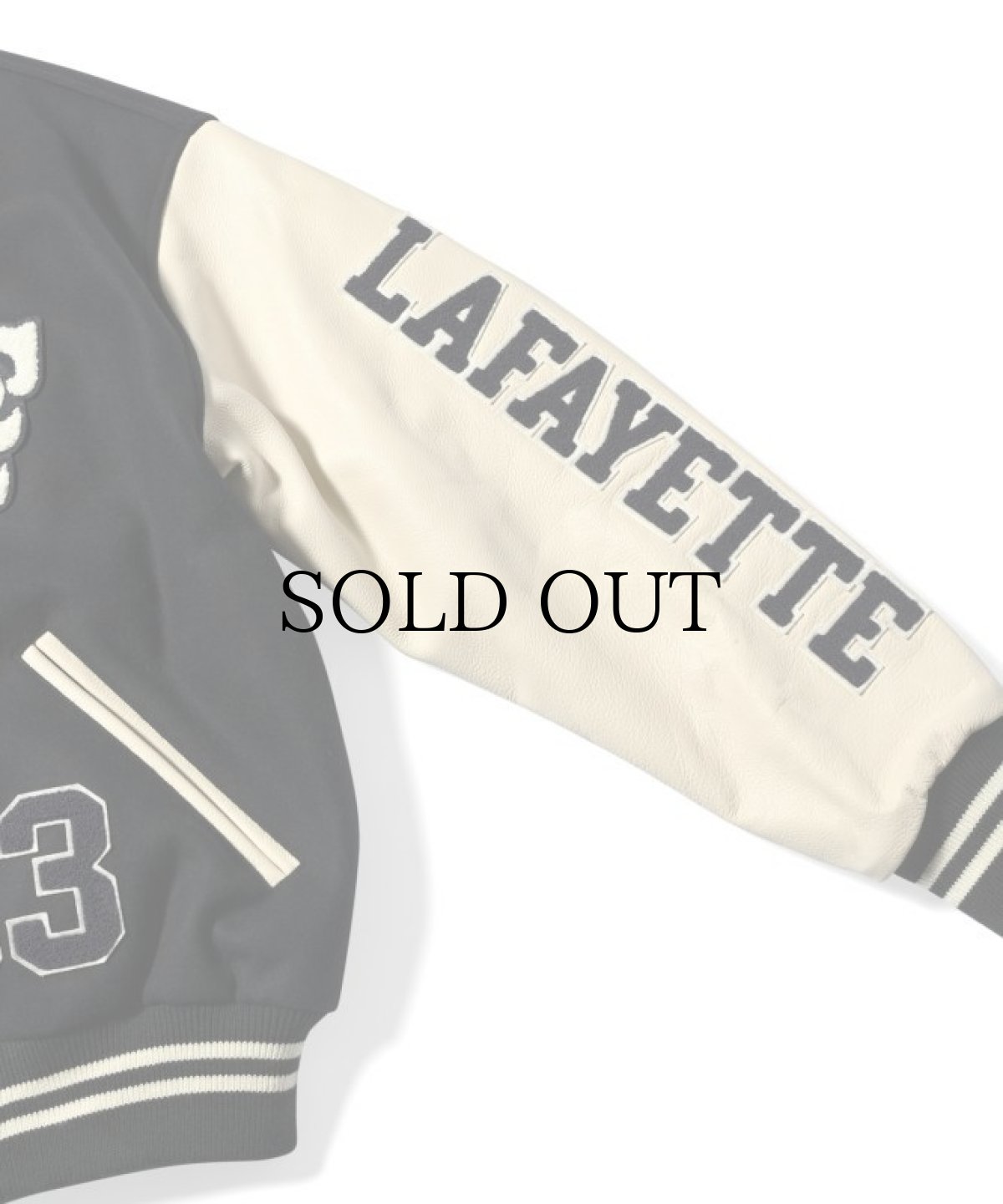 画像5: LFYT(ラファイエット) / WORLD CHAMPS 2023 LF LOGO STADIUM JACKET (5)