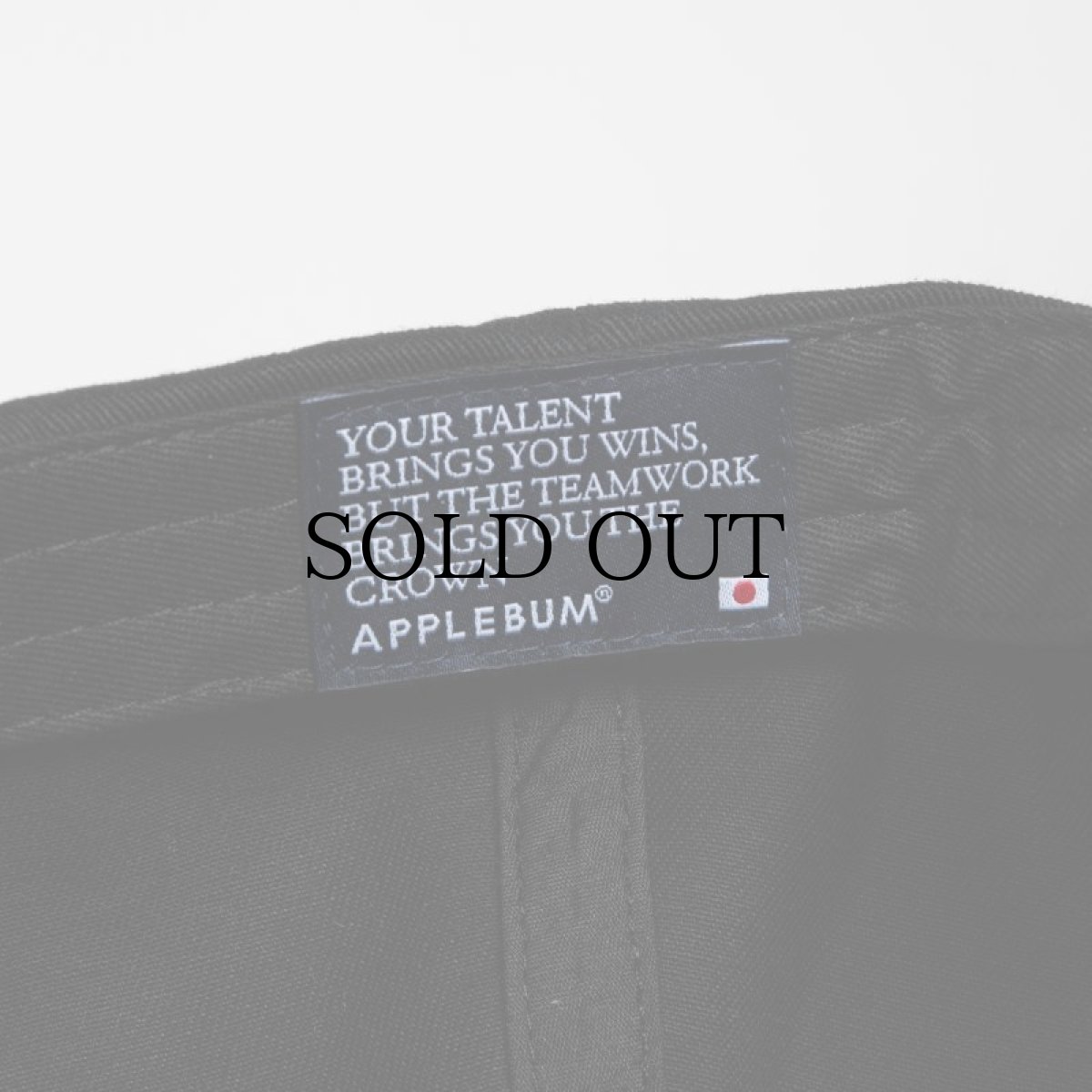 画像27: APPLEBUM(アップルバム) / MUSEUM LOGO CAP (27)