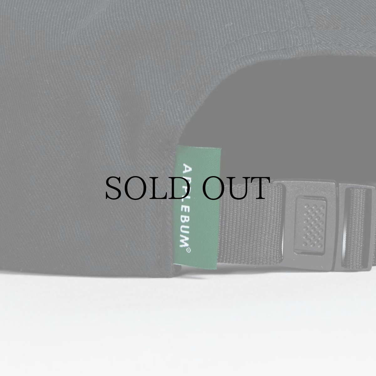 画像25: APPLEBUM(アップルバム) / MUSEUM LOGO CAP (25)