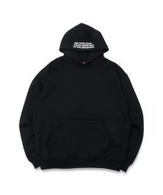 画像2: HIDEANDSEEK(ハイドアンドシーク) / HS Hooded Sweat Shirt-2(23aw) (2)