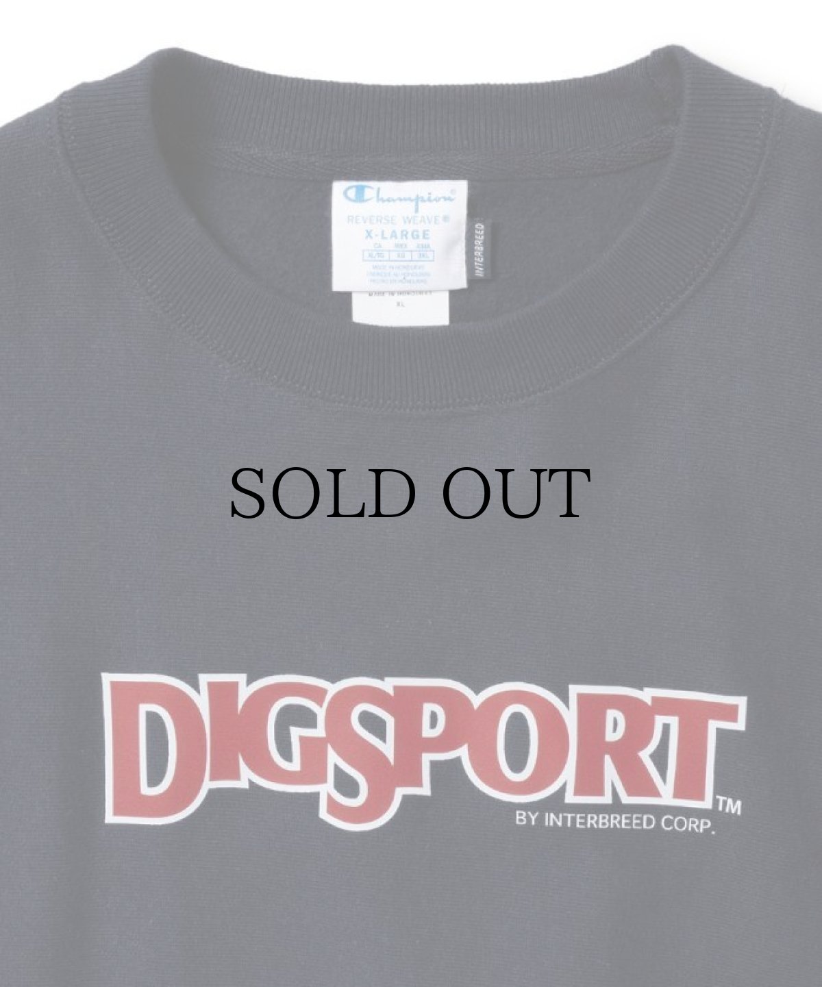 画像4: INTERBREED / DIGSPORT Heavy Weight Crew (4)