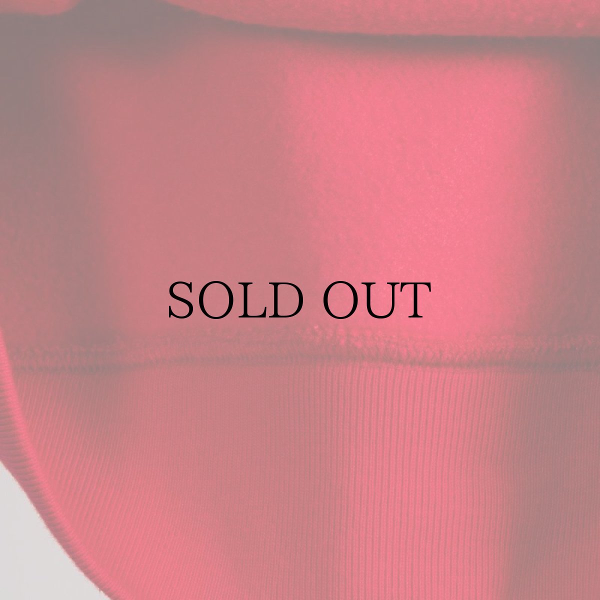 画像34: APPLEBUM(アップルバム) / MUSEUM LOGO SWEAT PARKA (34)