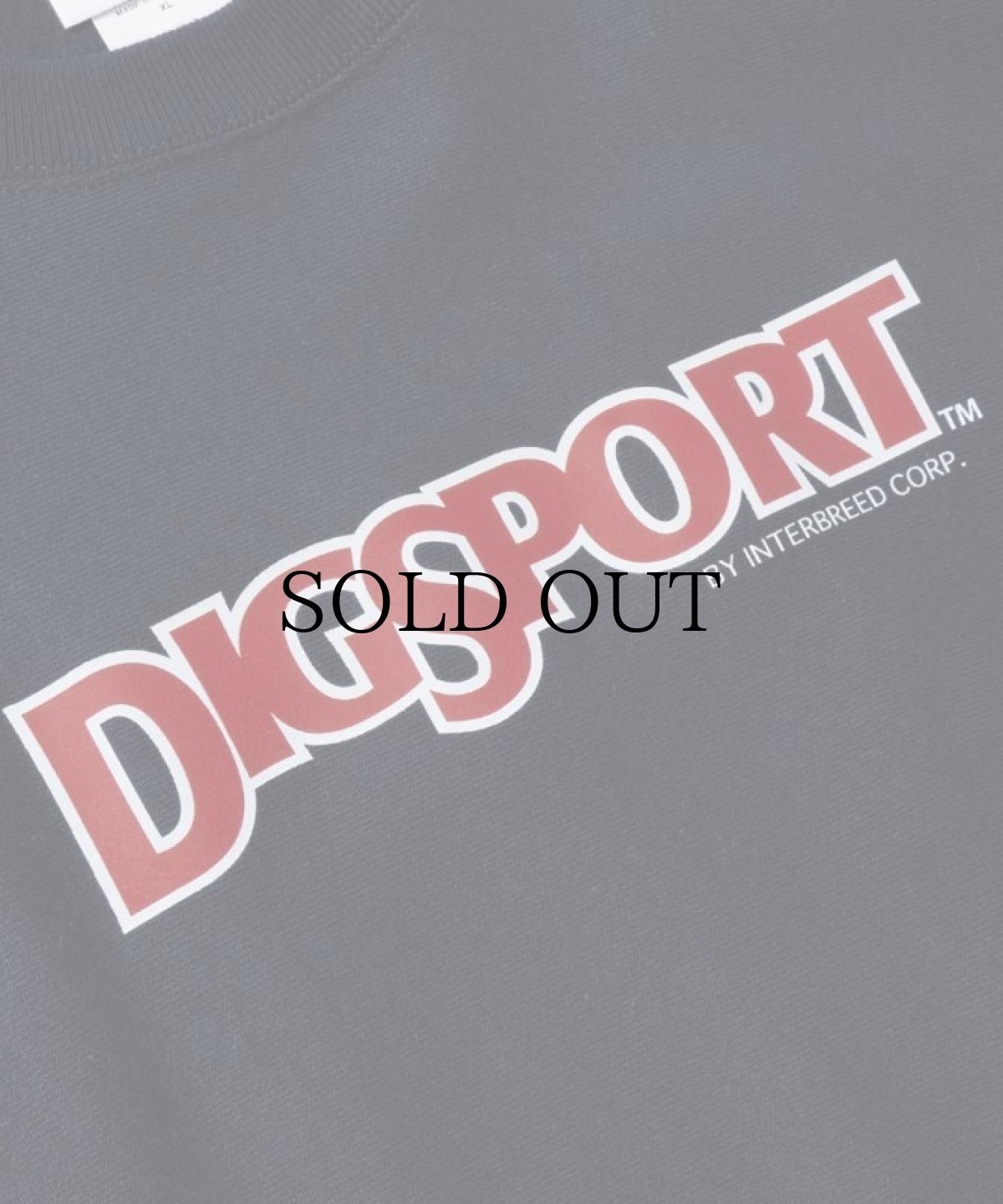 画像6: INTERBREED / DIGSPORT Heavy Weight Crew (6)