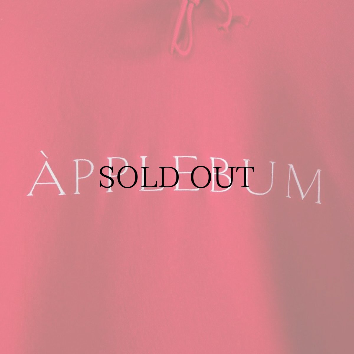 画像19: APPLEBUM(アップルバム) / MUSEUM LOGO SWEAT PARKA (19)