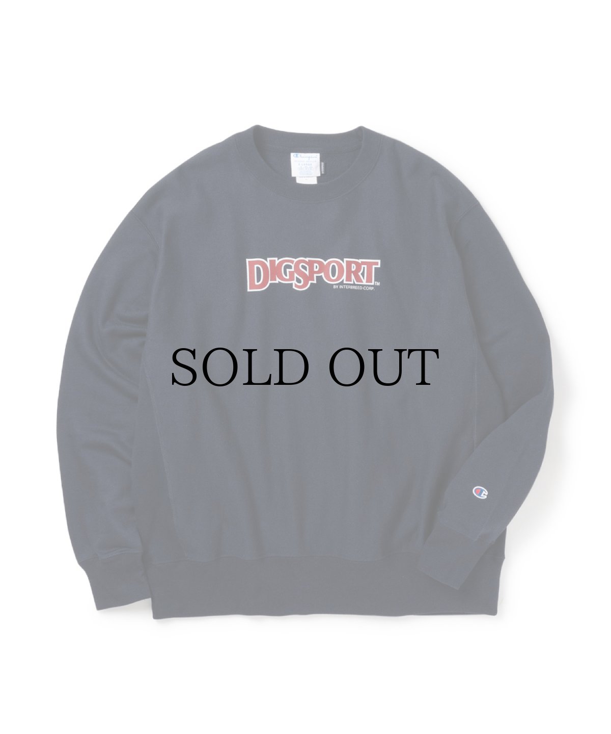 画像2: INTERBREED / DIGSPORT Heavy Weight Crew (2)