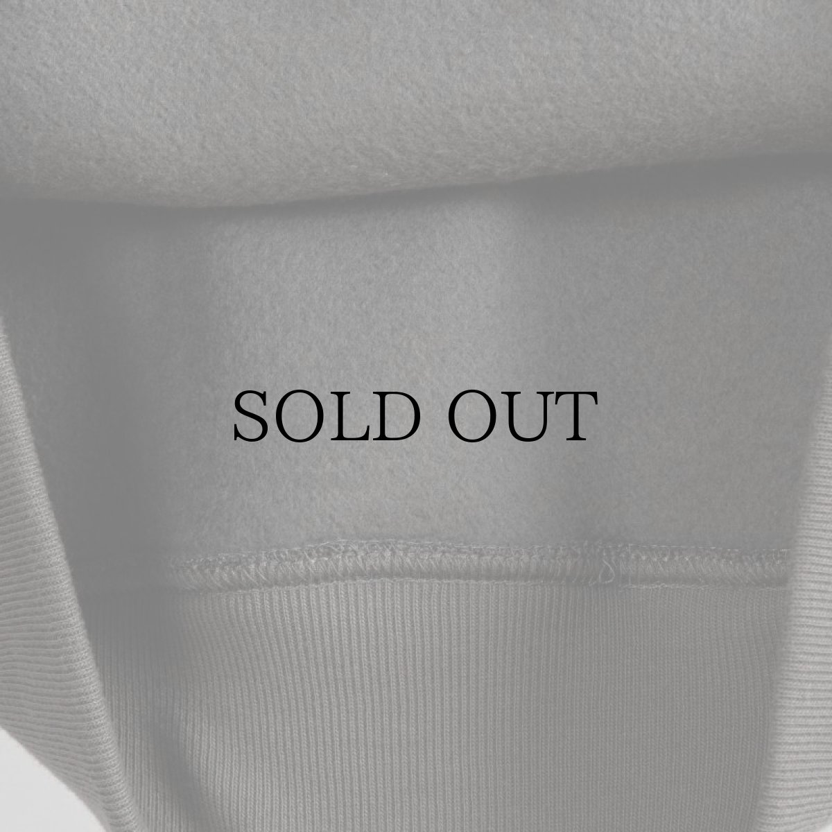 画像35: APPLEBUM(アップルバム) / MUSEUM LOGO SWEAT PARKA (35)