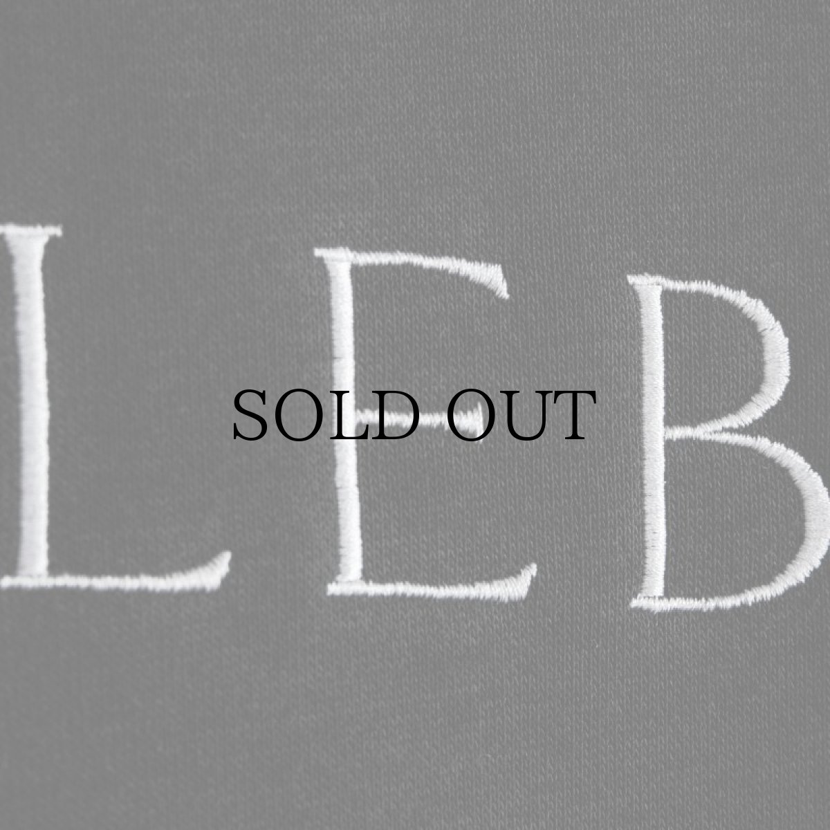 画像21: APPLEBUM(アップルバム) / MUSEUM LOGO SWEAT PARKA (21)