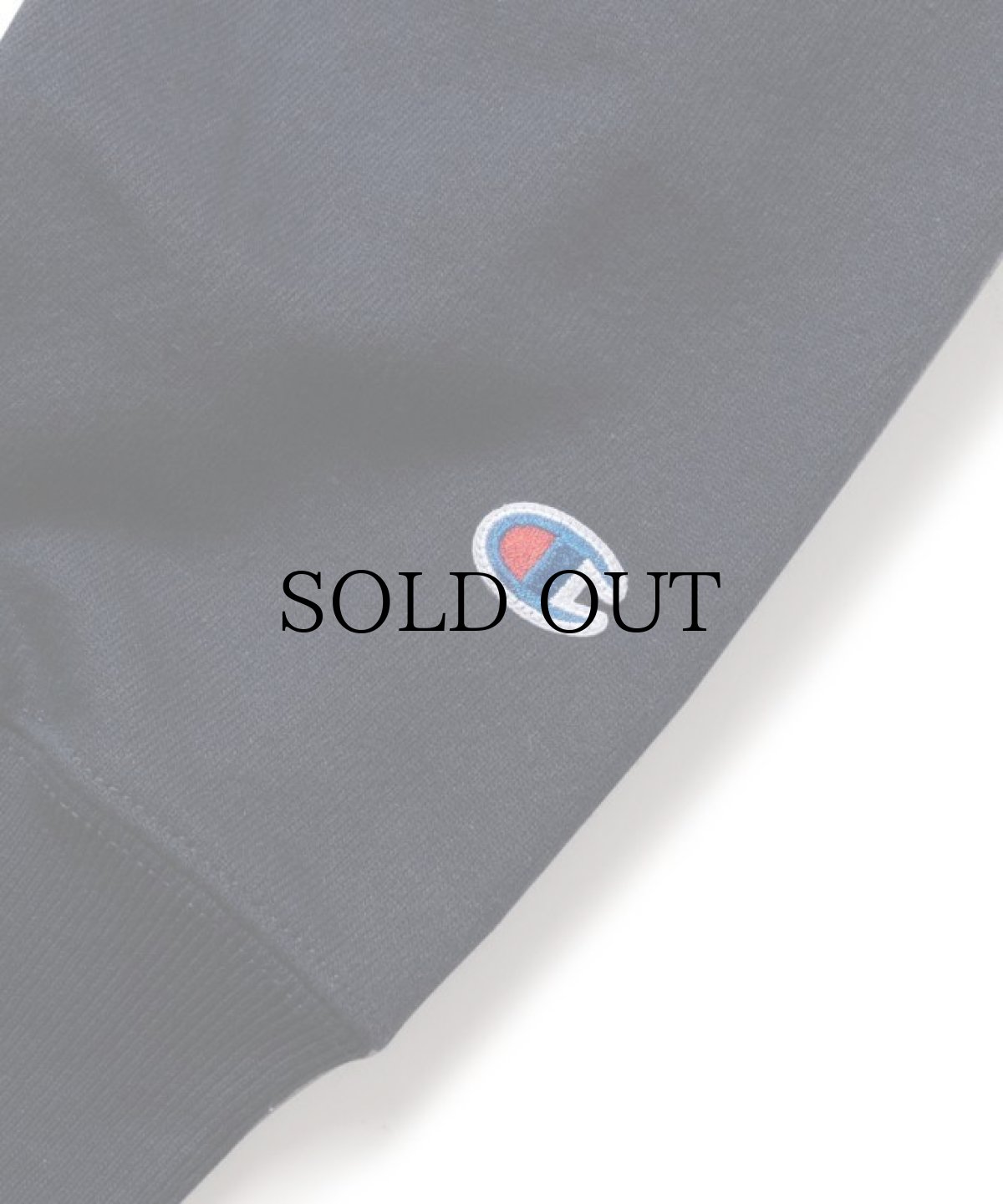 画像8: INTERBREED / DIGSPORT Heavy Weight Crew (8)