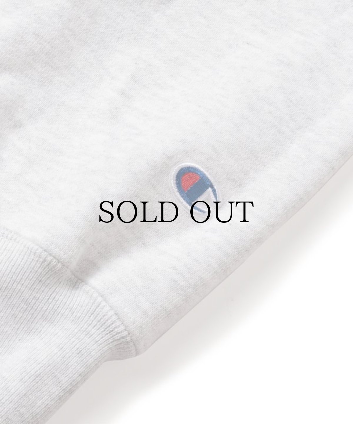 画像7: INTERBREED / DIGSPORT Heavy Weight Crew (7)