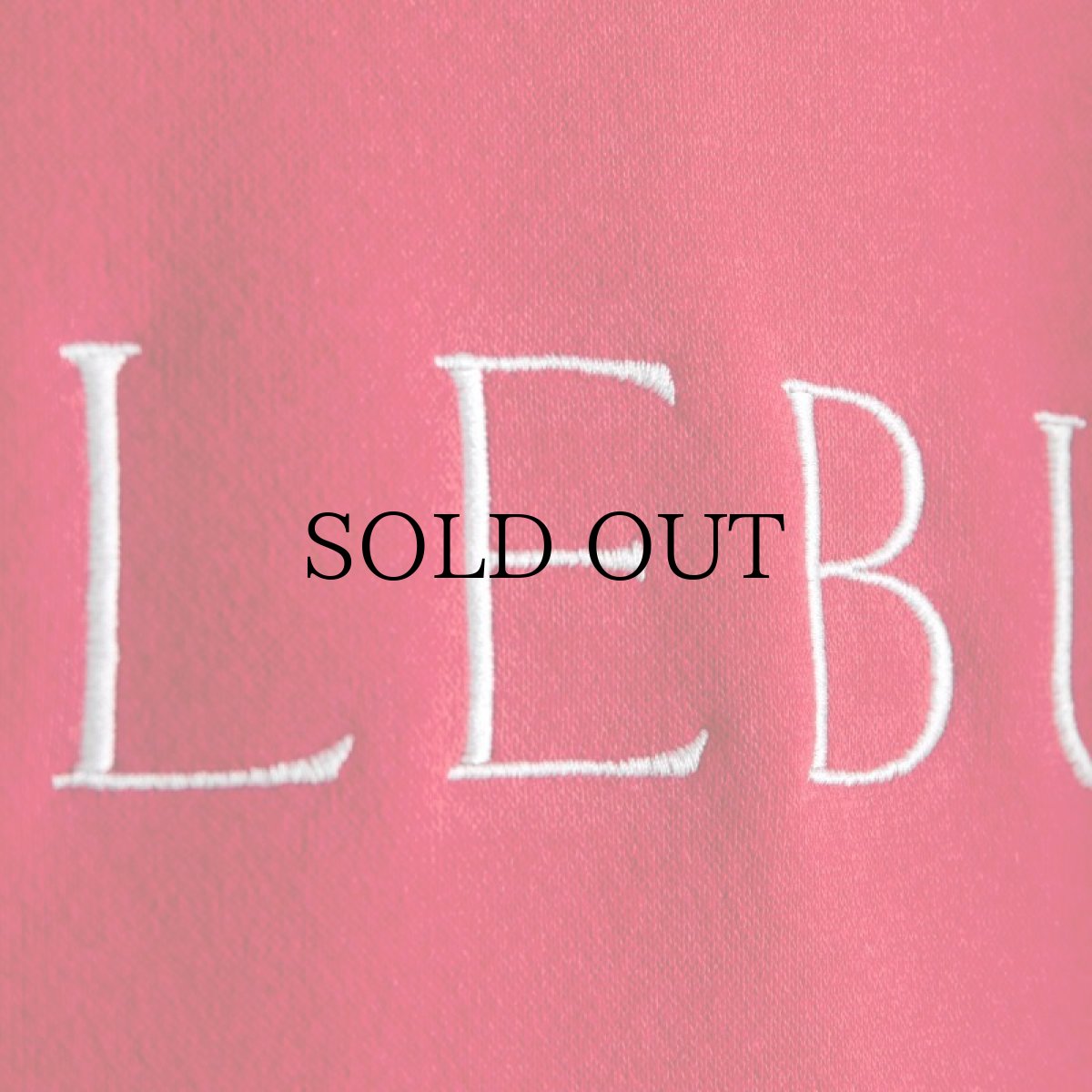 画像24: APPLEBUM(アップルバム) / MUSEUM LOGO SWEAT PARKA (24)