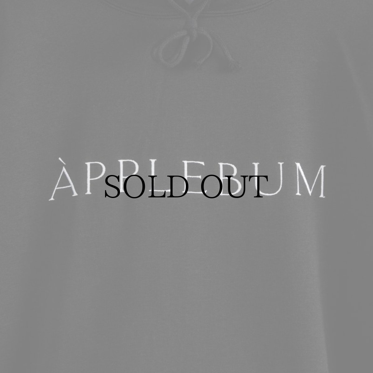 画像16: APPLEBUM(アップルバム) / MUSEUM LOGO SWEAT PARKA (16)