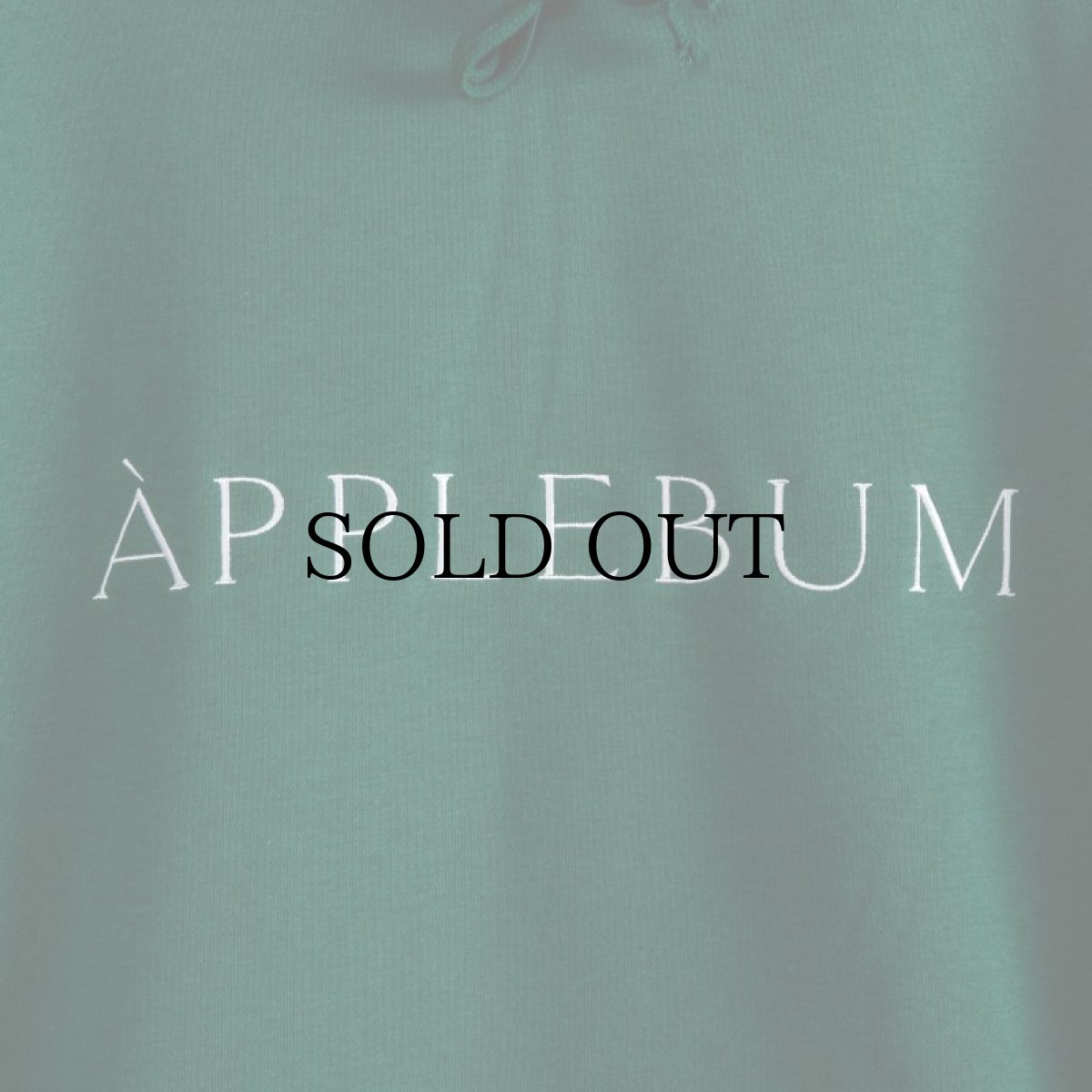 画像18: APPLEBUM(アップルバム) / MUSEUM LOGO SWEAT PARKA (18)