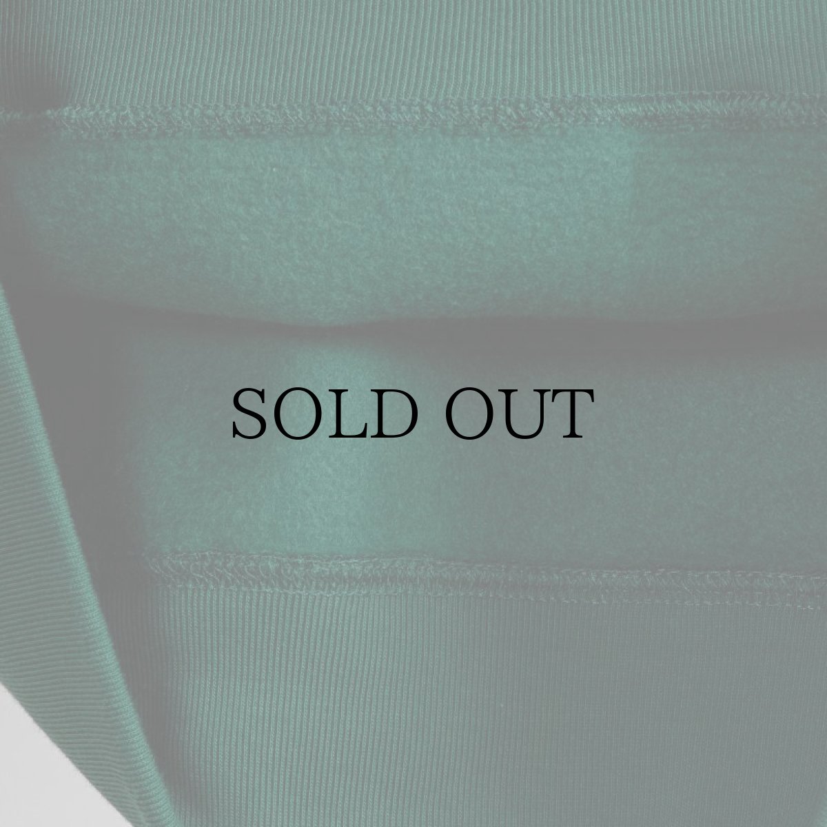 画像33: APPLEBUM(アップルバム) / MUSEUM LOGO SWEAT PARKA (33)