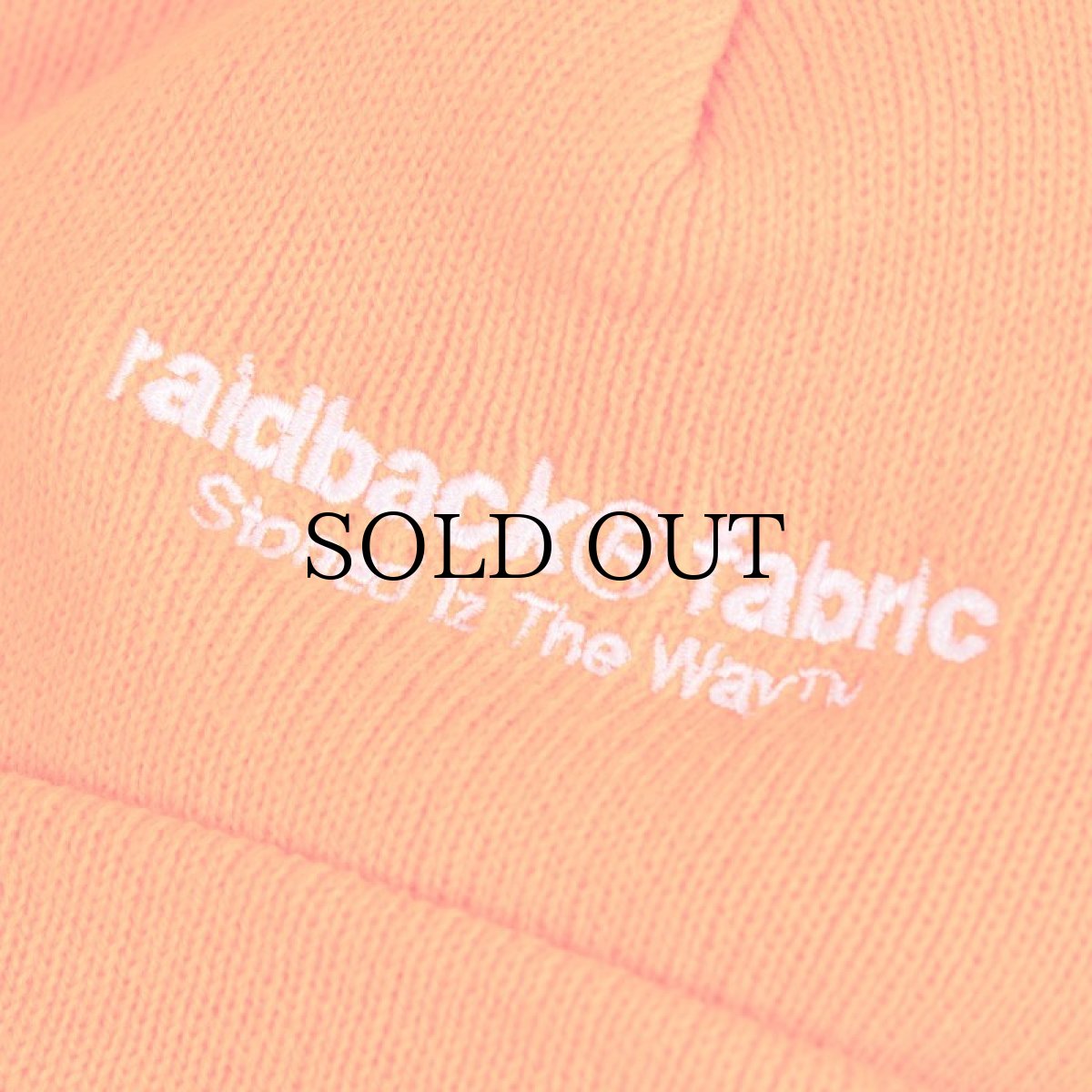 画像18: APPLEBUM(アップルバム) / ARCH LOGO KNIT CAP (18)