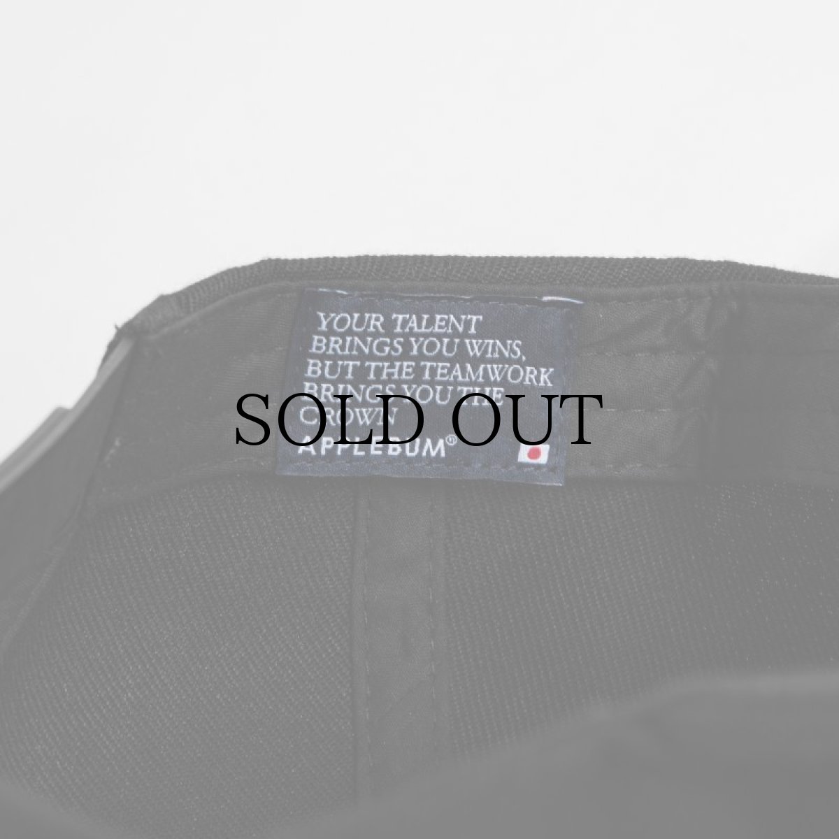 画像9: APPLEBUM(アップルバム) / ARCH LOGO BB CAP (9)