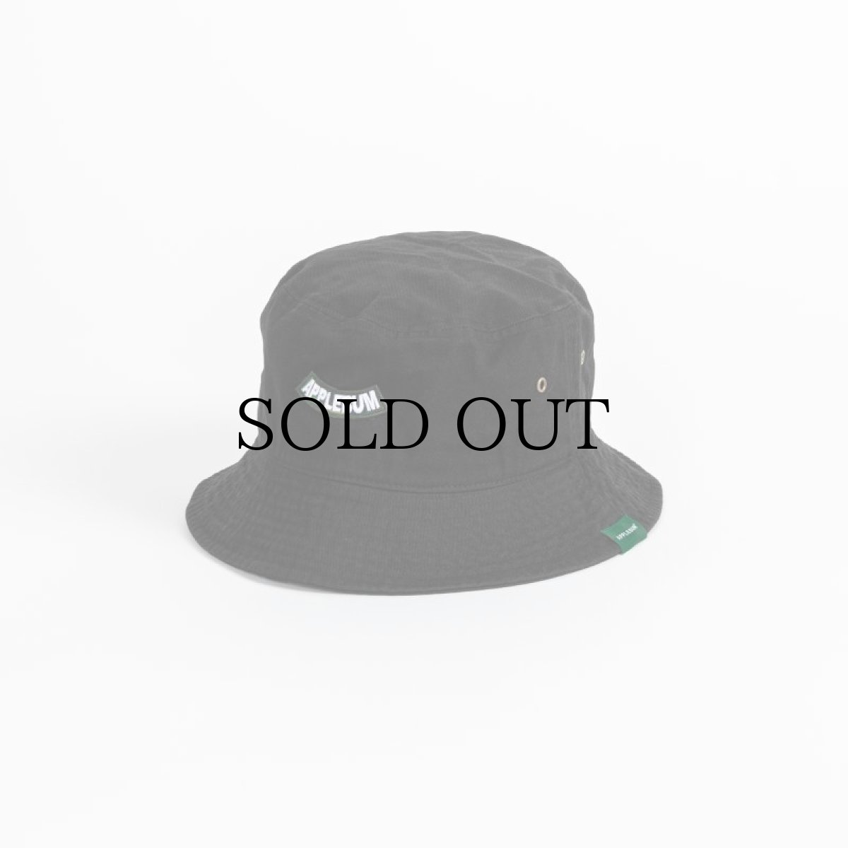 画像2: APPLEBUM(アップルバム) / ARCH LOGO BUCKET HAT (2)
