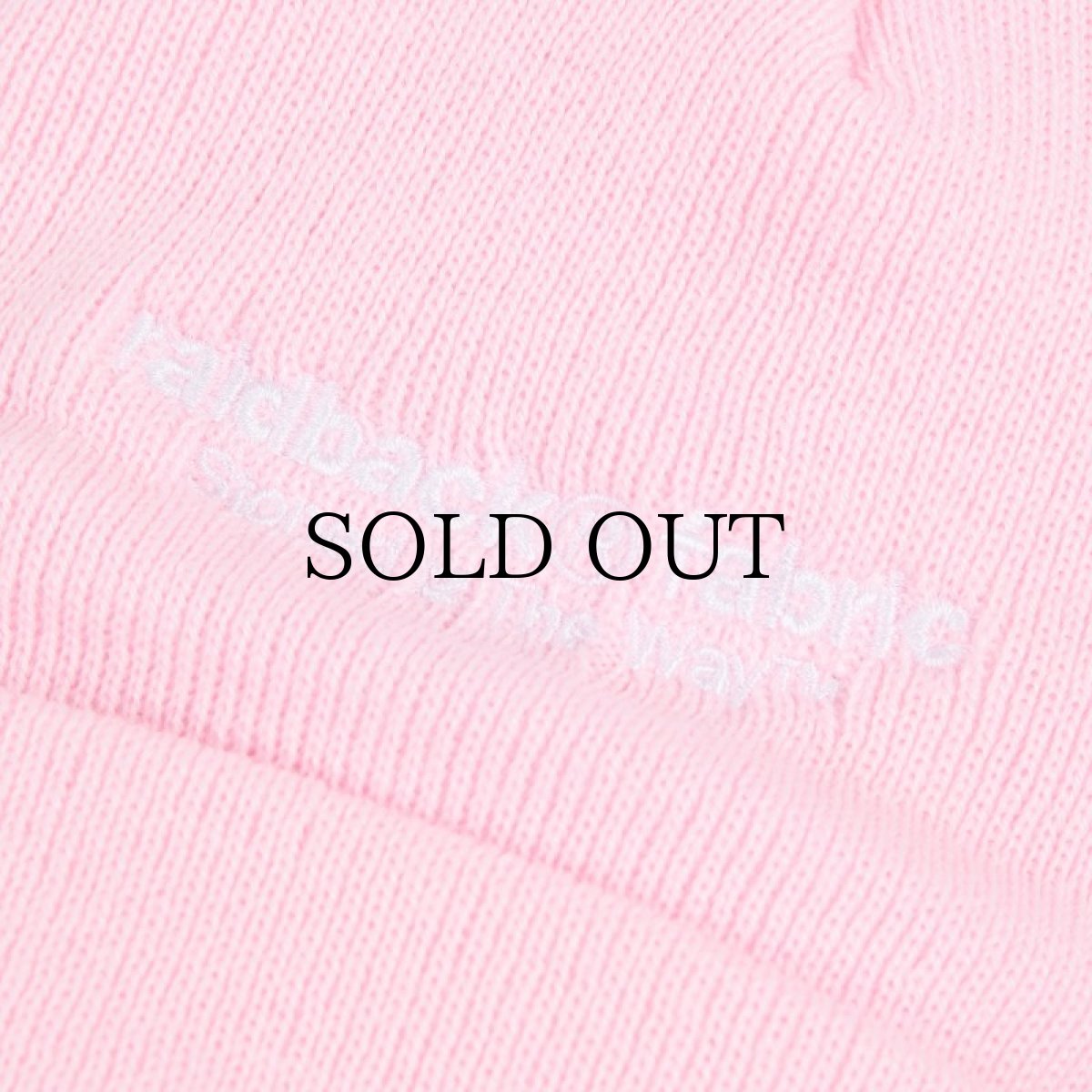 画像19: APPLEBUM(アップルバム) / ARCH LOGO KNIT CAP (19)