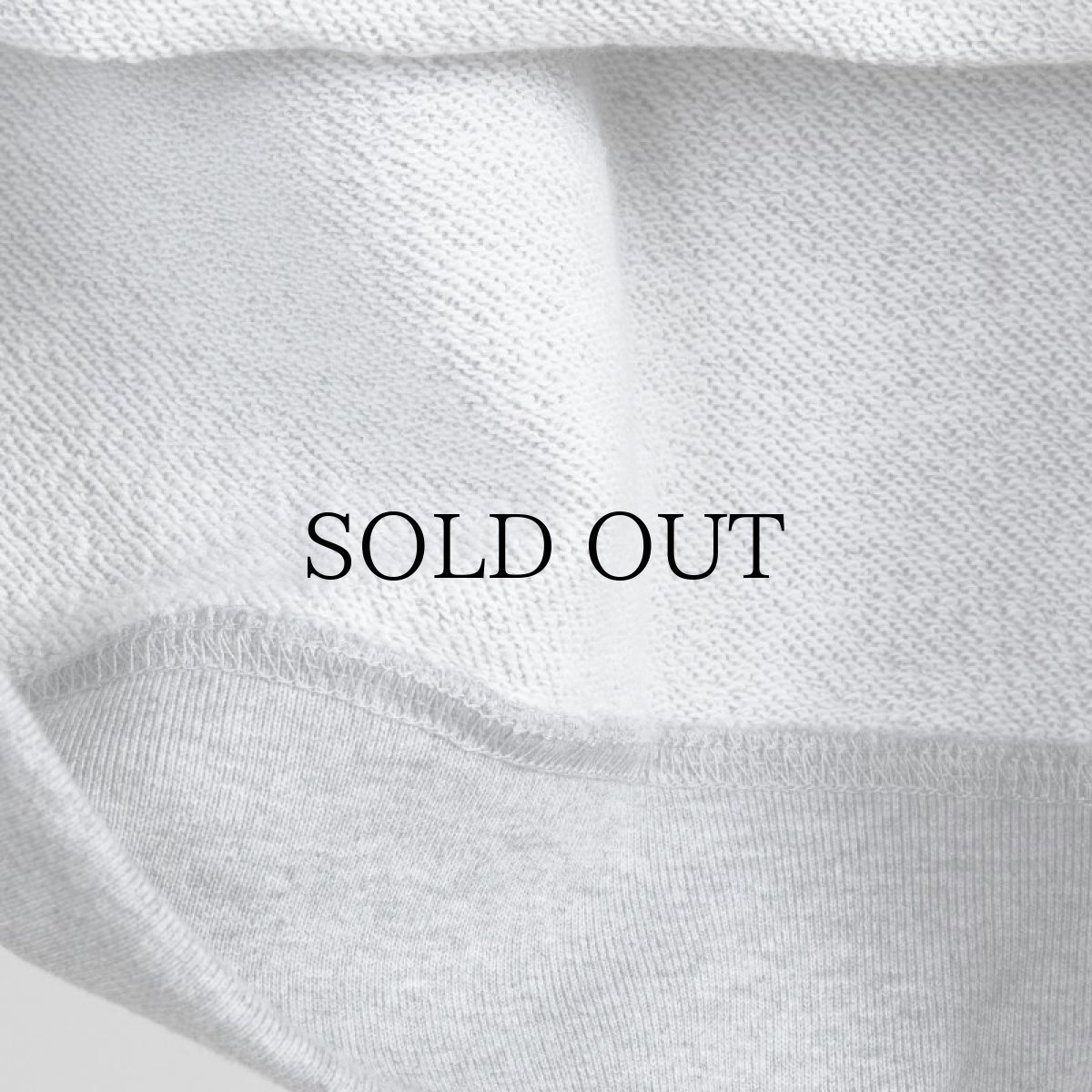 画像14: APPLEBUM(アップルバム) / "DETROIT TIGERS" CREW SWEAT  (14)