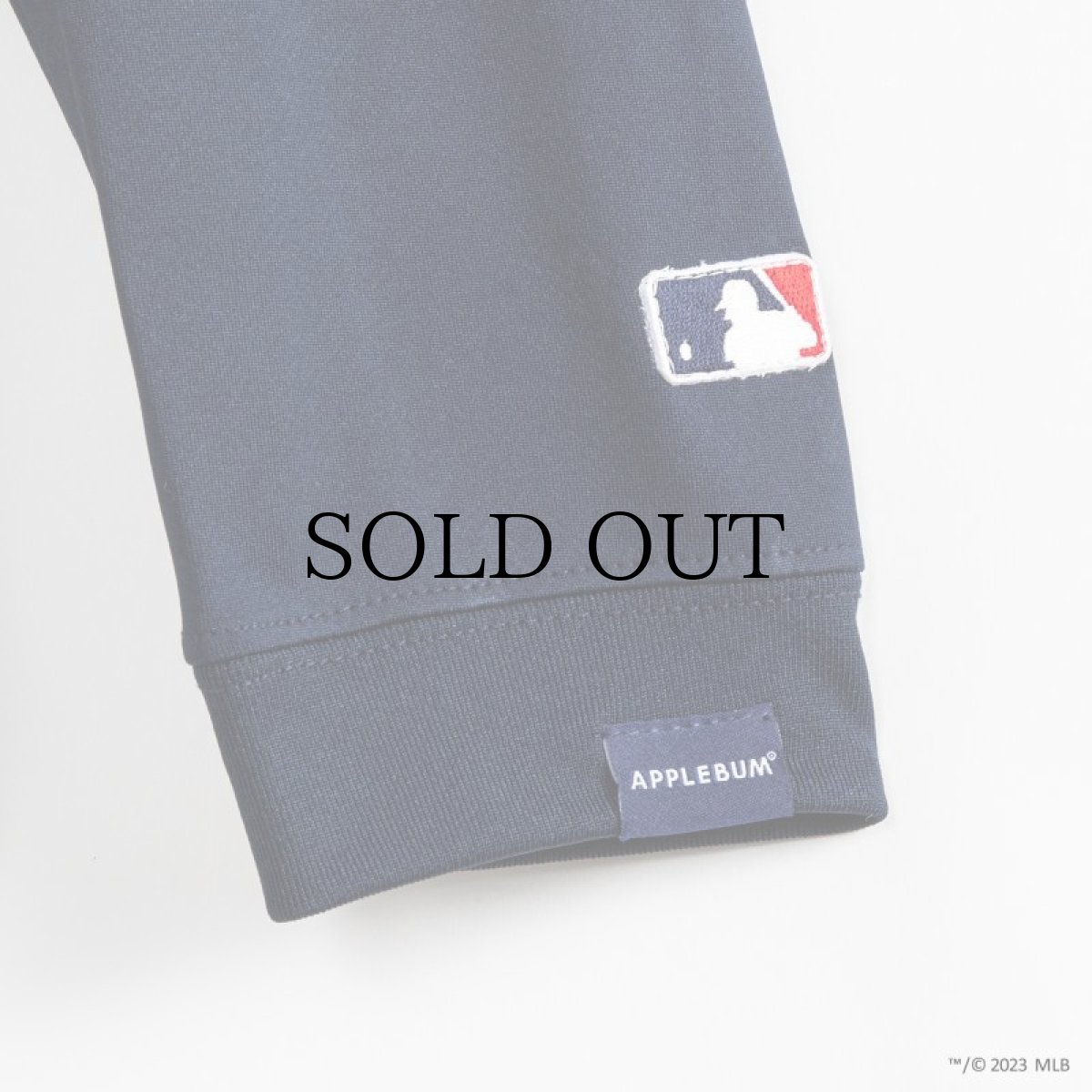 画像11: APPLEBUM(アップルバム) / "NEW YORK YANKEES" ELITE PERFORMANCE L/S T-SHIRT (11)