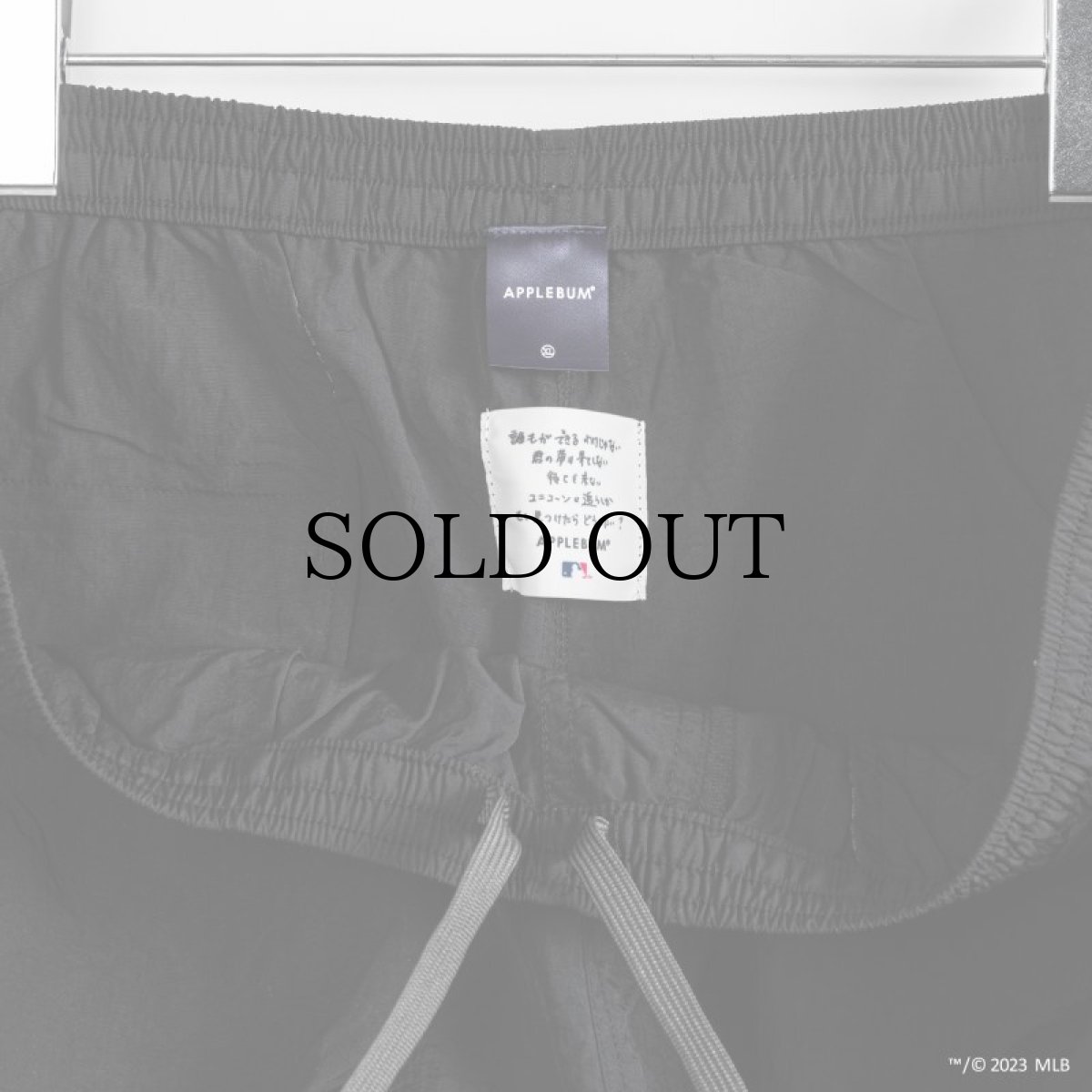 画像3: APPLEBUM(アップルバム) / "DETROIT TIGERS" NYLON PANTS (3)