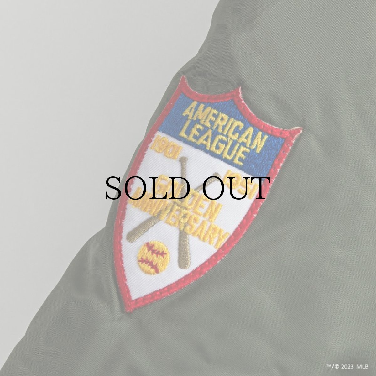 画像9: APPLEBUM(アップルバム) / "DETROIT TIGERS" MA-1 JACKET (9)