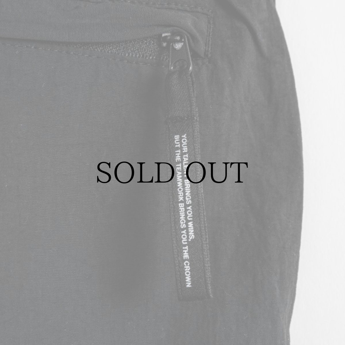 画像8: APPLEBUM(アップルバム) / "DETROIT TIGERS" NYLON PANTS (8)