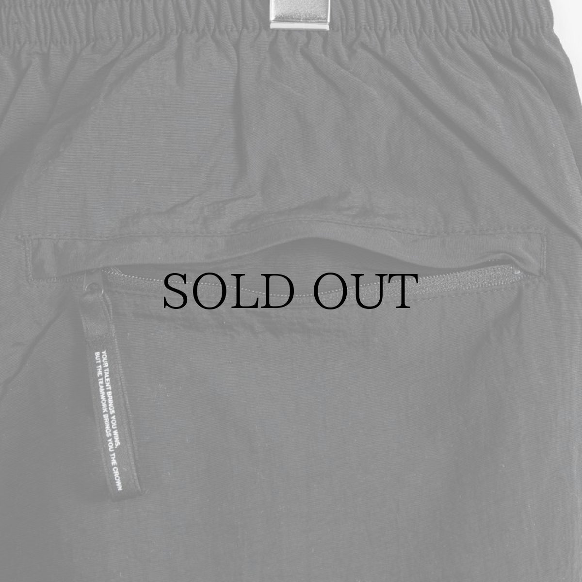 画像7: APPLEBUM(アップルバム) / "DETROIT TIGERS" NYLON PANTS (7)