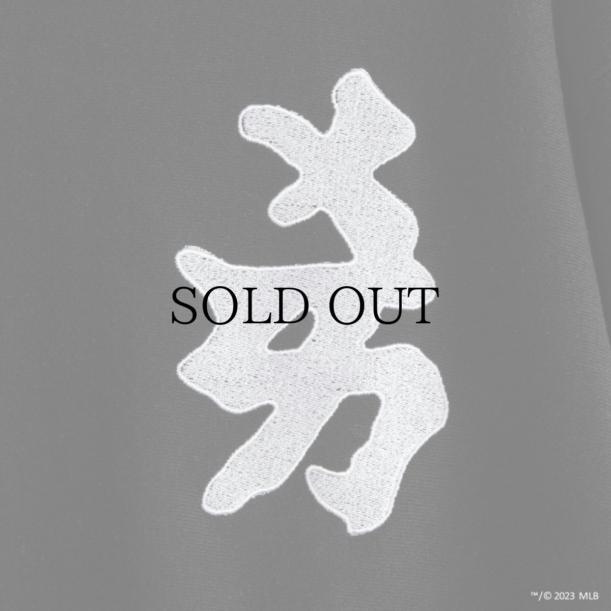 画像4: APPLEBUM(アップルバム) / COOPERSTOWN "NY YANKEES" SWEAT PARKA (4)