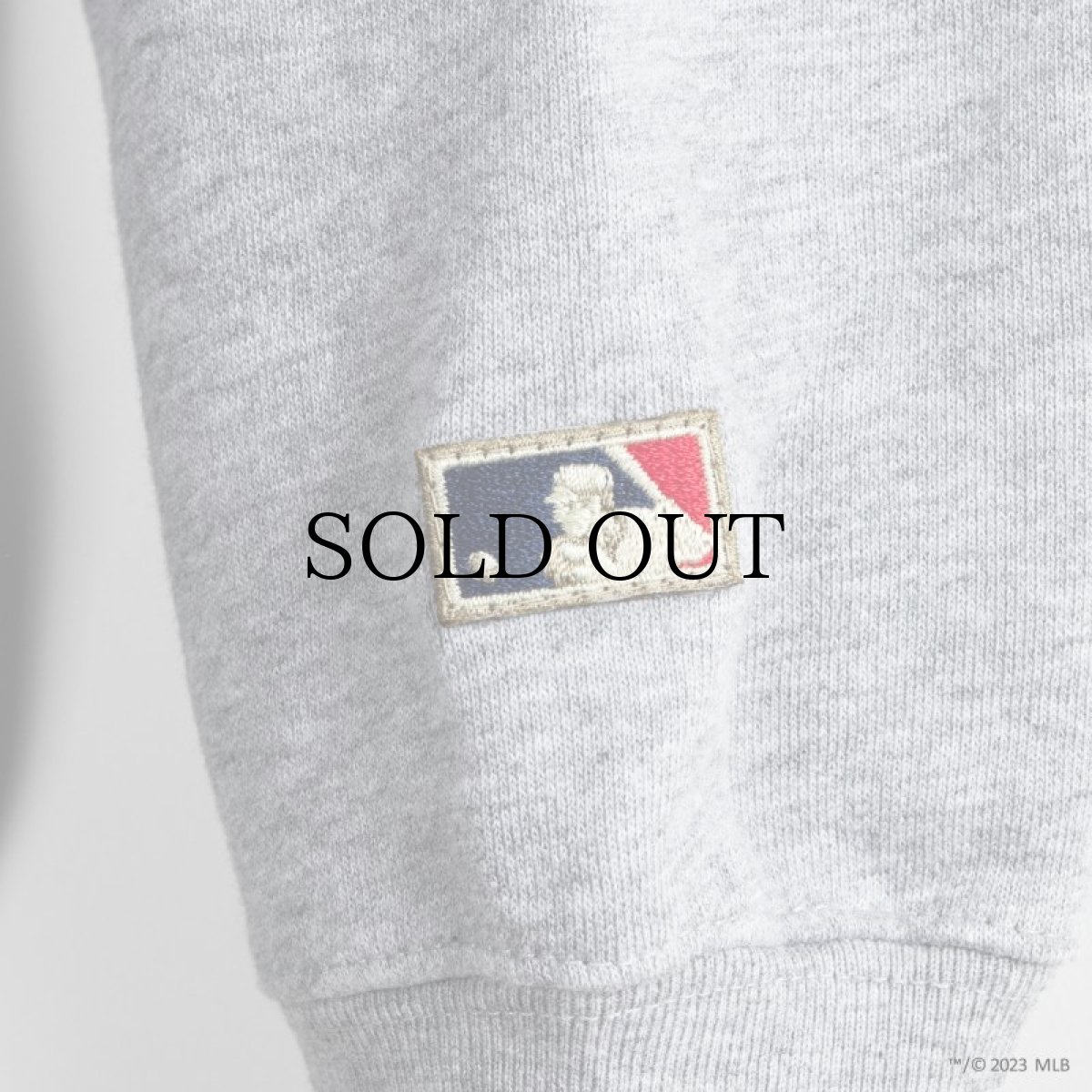 画像10: APPLEBUM(アップルバム) / "DETROIT TIGERS" CREW SWEAT  (10)