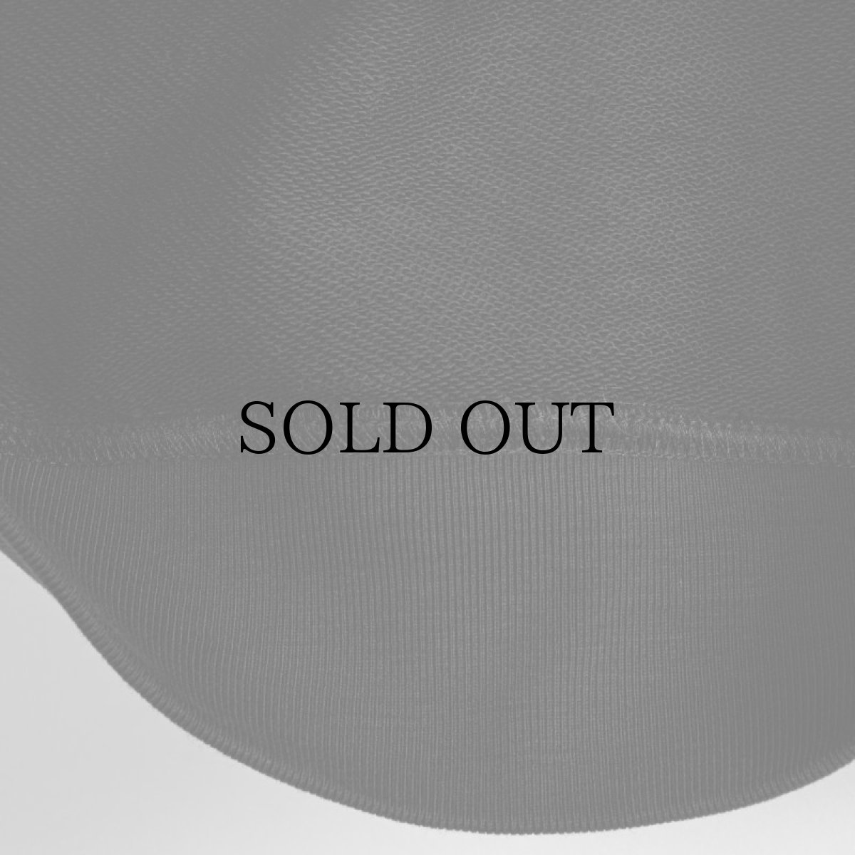 画像13: APPLEBUM(アップルバム) / "DETROIT TIGERS" CREW SWEAT  (13)