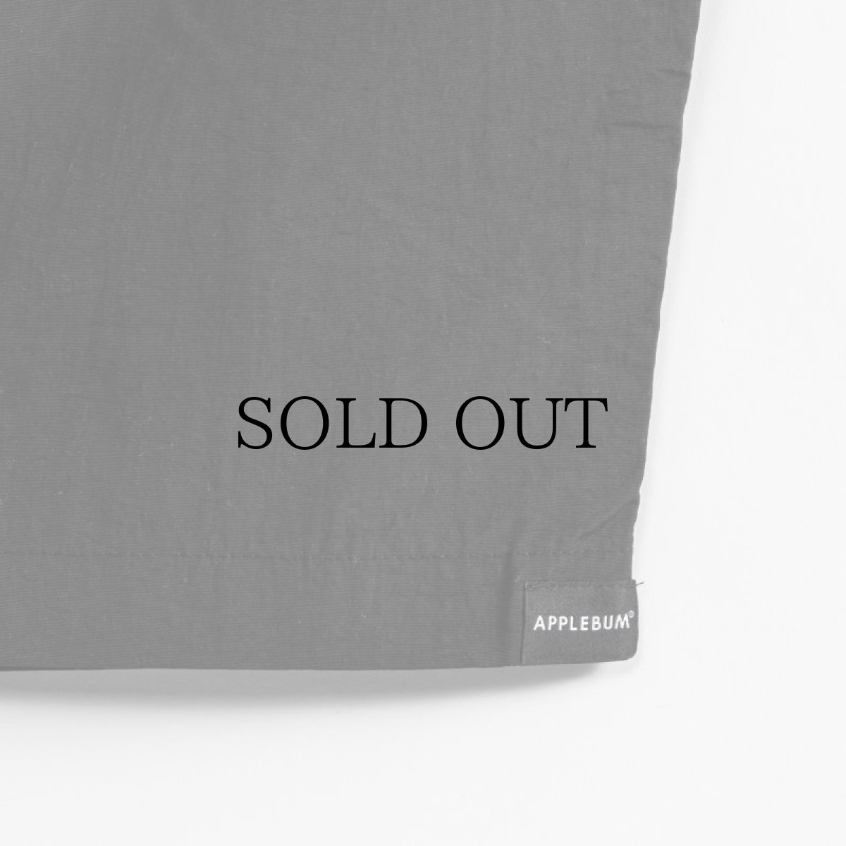 画像6: APPLEBUM(アップルバム) / "DETROIT TIGERS" NYLON PANTS (6)