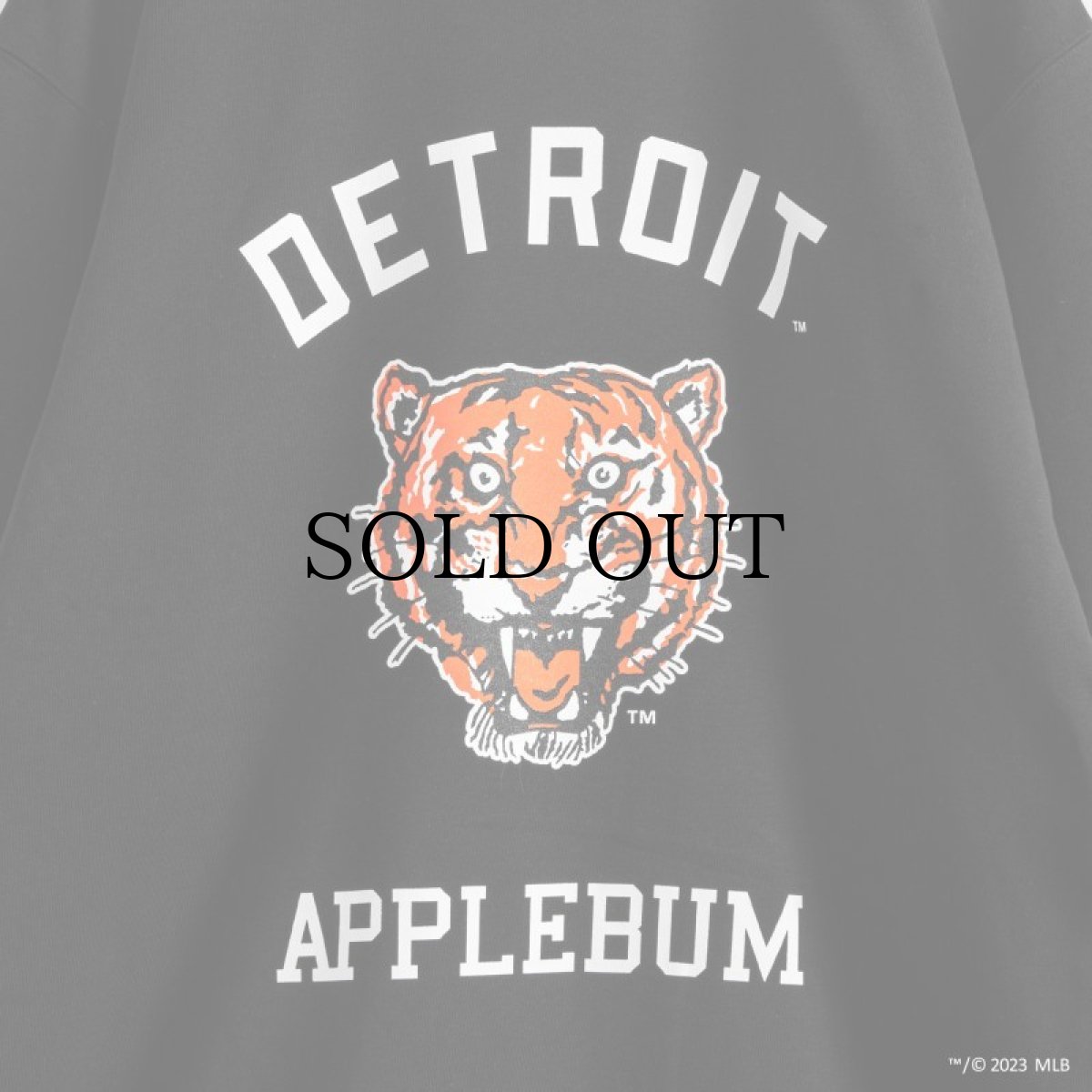 画像7: APPLEBUM(アップルバム) / "DETROIT TIGERS" CREW SWEAT  (7)