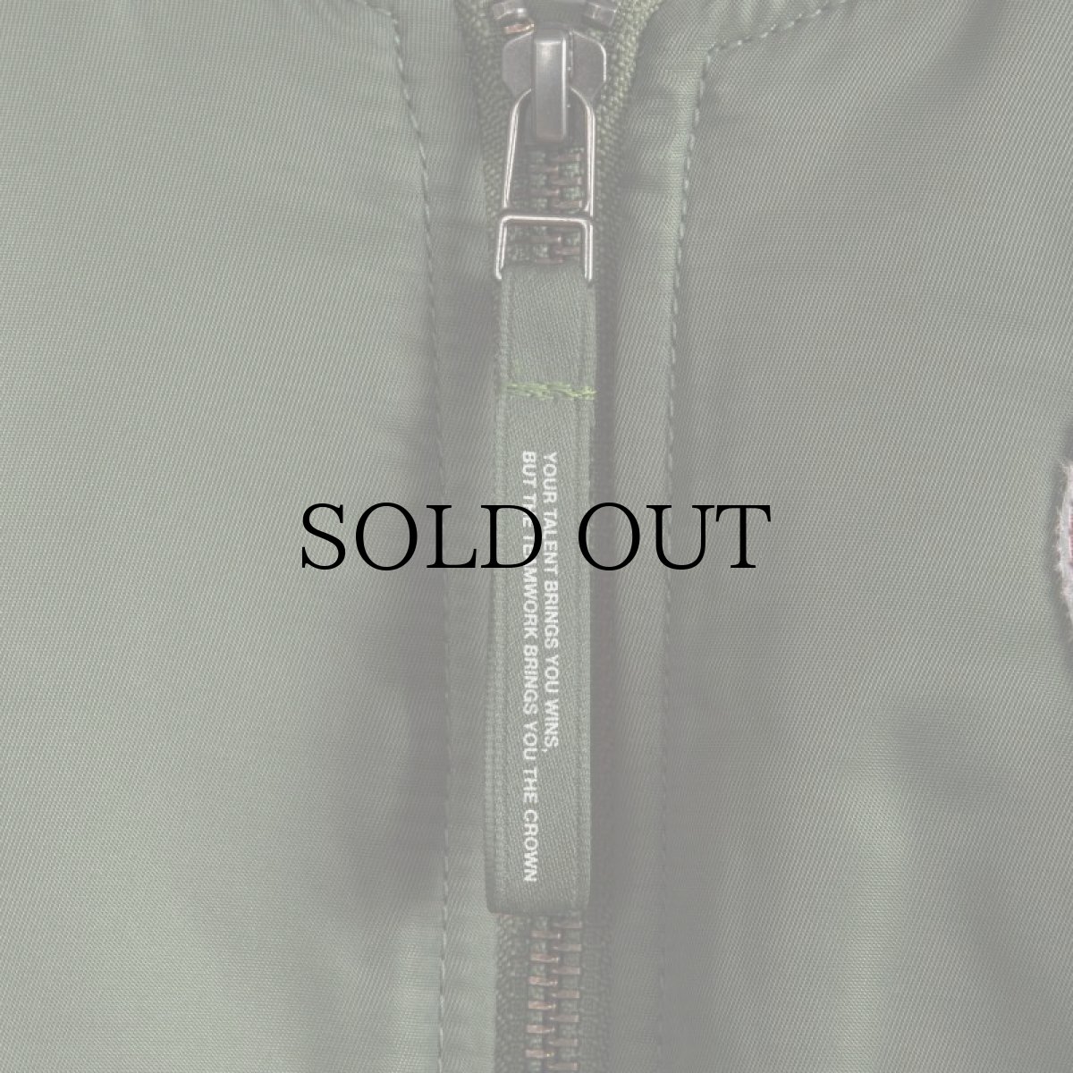 画像5: APPLEBUM(アップルバム) / "DETROIT TIGERS" MA-1 JACKET (5)