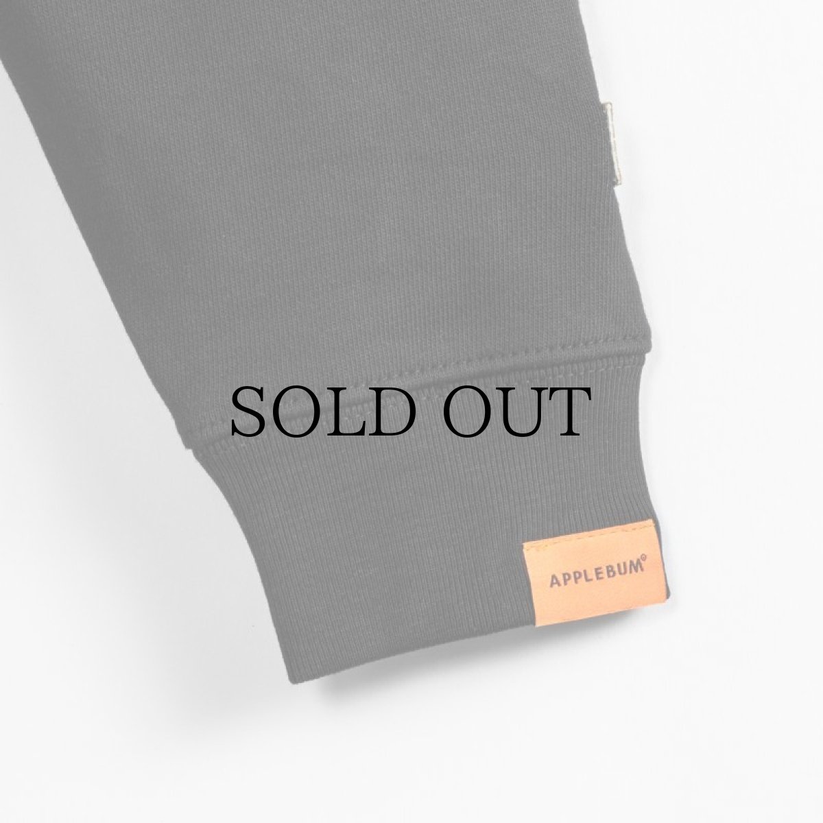 画像11: APPLEBUM(アップルバム) / "DETROIT TIGERS" CREW SWEAT  (11)