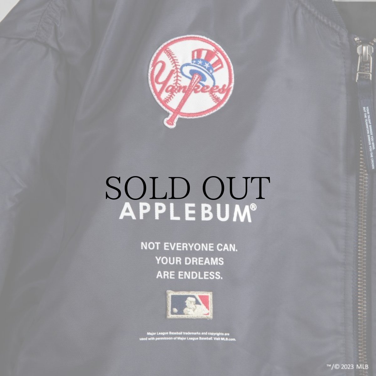 画像7: APPLEBUM(アップルバム) / "NEW YORK YANKEES" MA-1 JACKET (7)