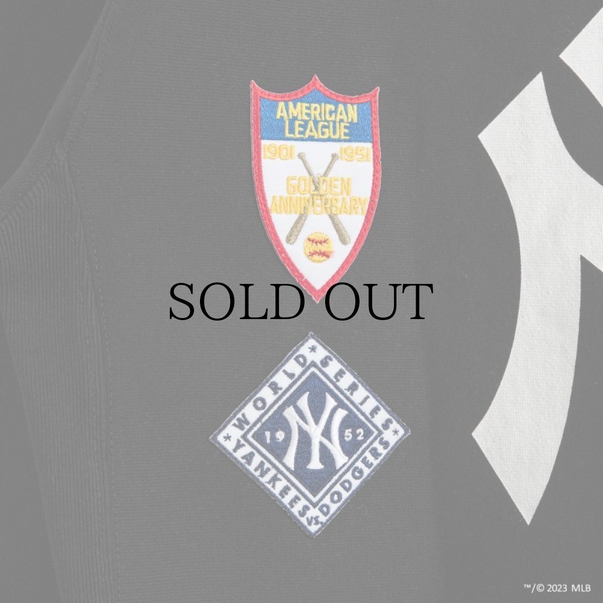 画像9: APPLEBUM(アップルバム) / COOPERSTOWN "NY YANKEES" SWEAT PARKA (9)