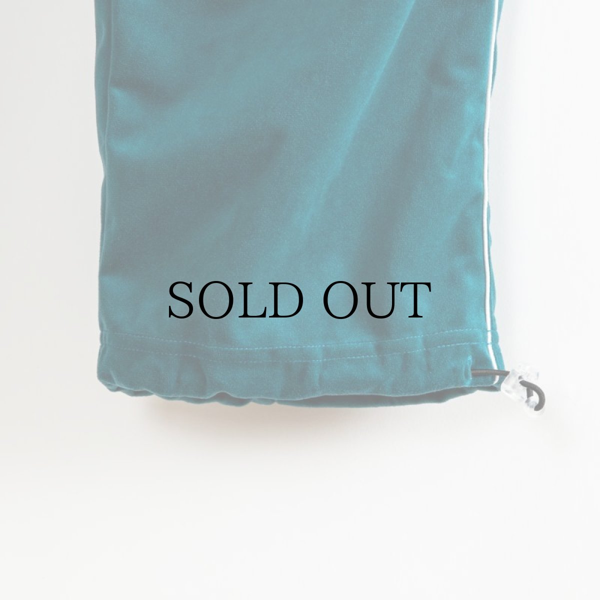 画像11: APPLEBUM(アップルバム) / VELOUR CARGO PANTS (11)