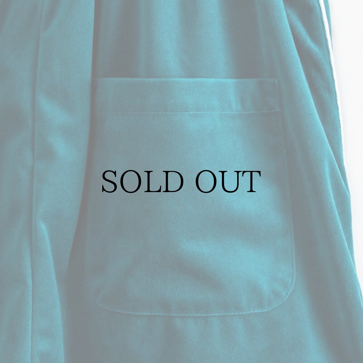 画像13: APPLEBUM(アップルバム) / VELOUR CARGO PANTS (13)