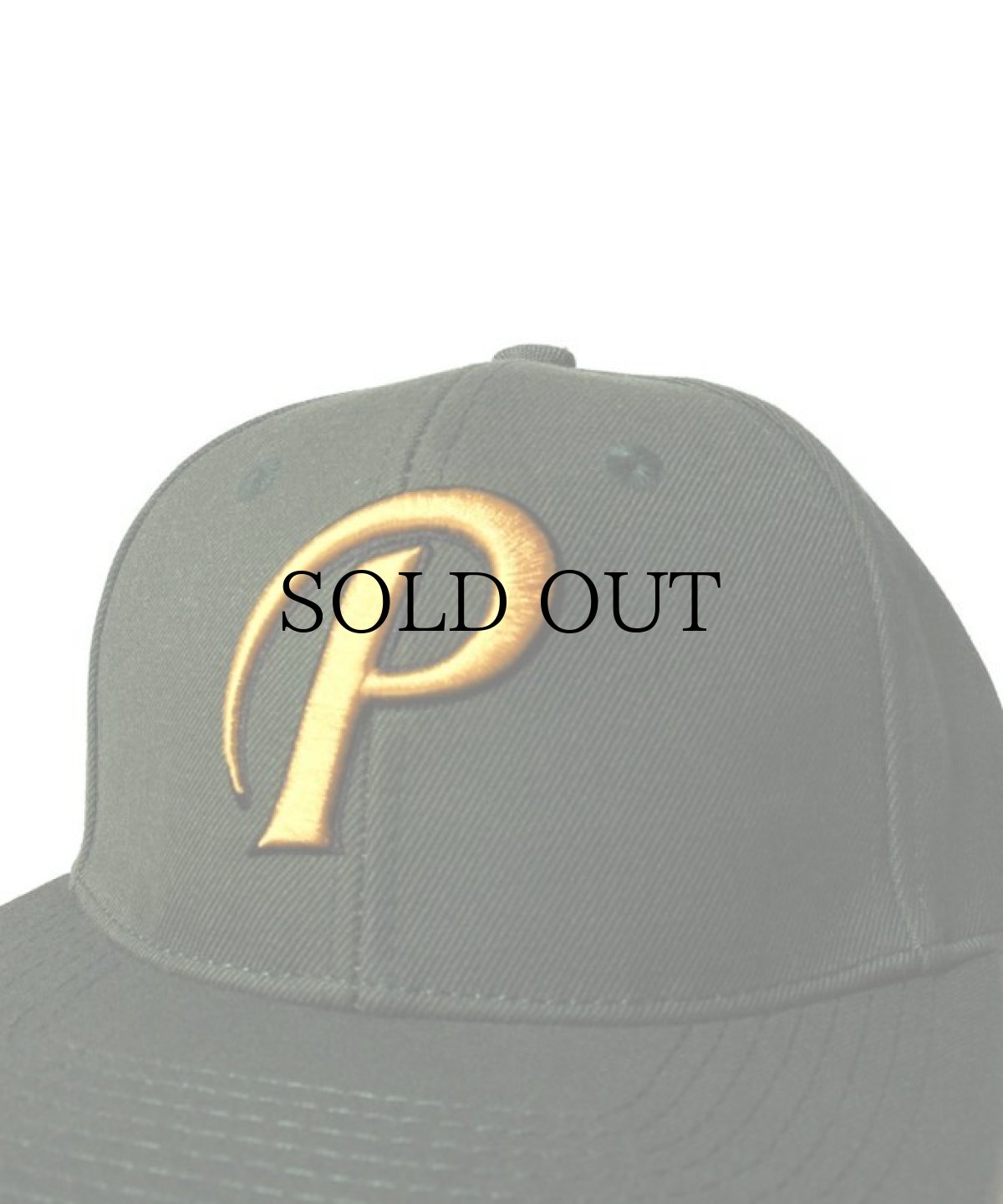 画像18: PWNED(パウンド) / "P" LOGO SNAPBACK (18)
