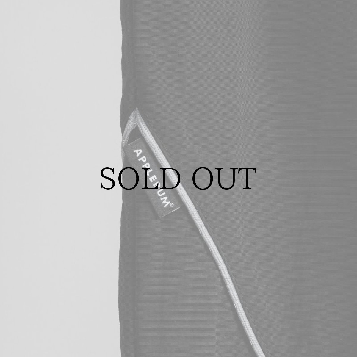 画像13: APPLEBUM(アップルバム) / PHYSICAL TRAINING UNIFORM PANTS  (13)