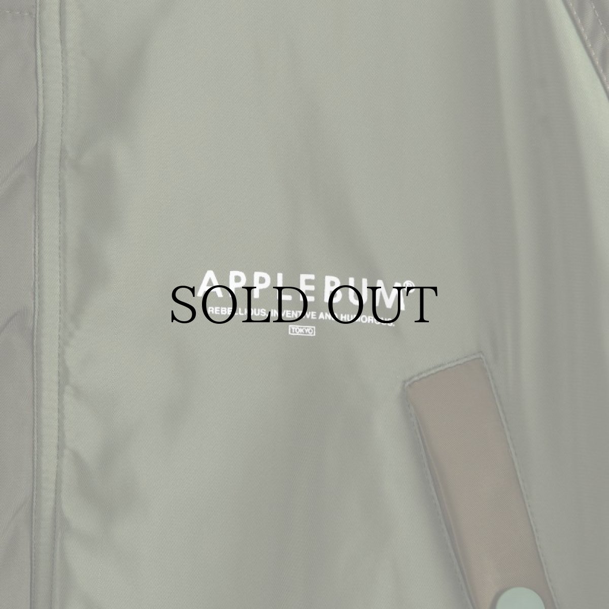 画像12: APPLEBUM(アップルバム) / "MONOCHROMATIC" N-3B JACKET (12)